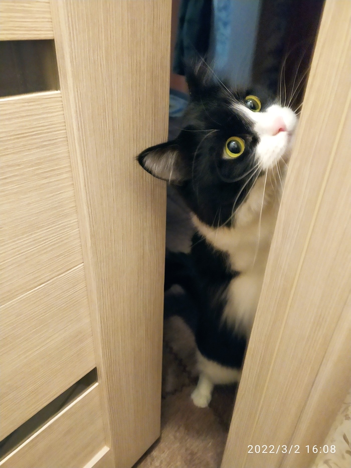 Мамина квартирантка