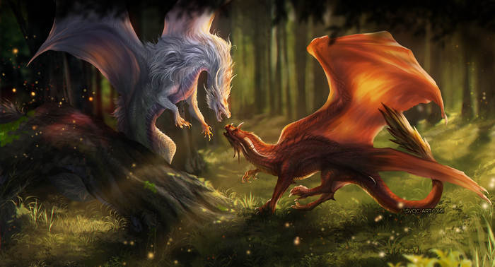   , , Leilryu