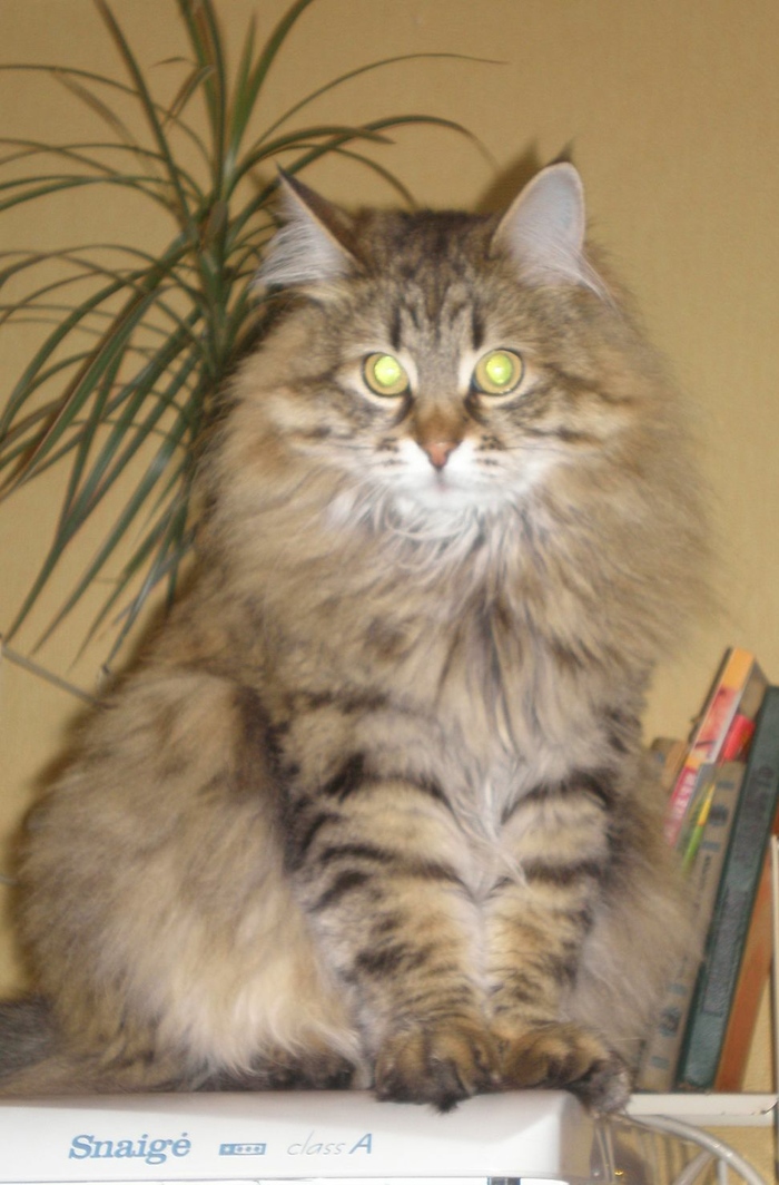   1.09.2004-16.01.2022