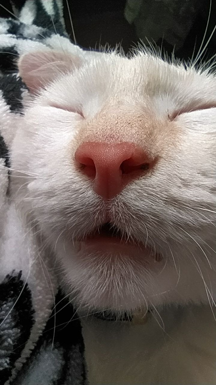 ��� � ������� �������