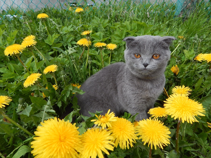 � �����, � ���� ������...