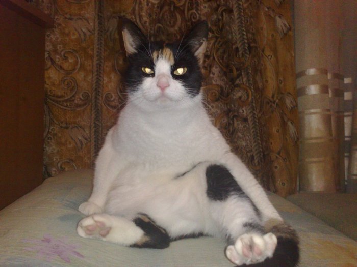 Знакомьтесь Муся