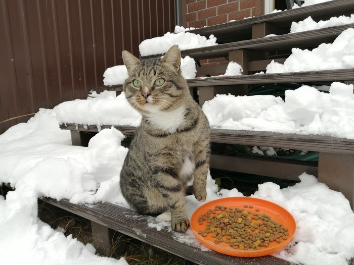 ����������� ���