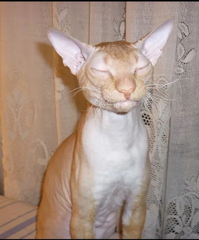 Жизнь удалась