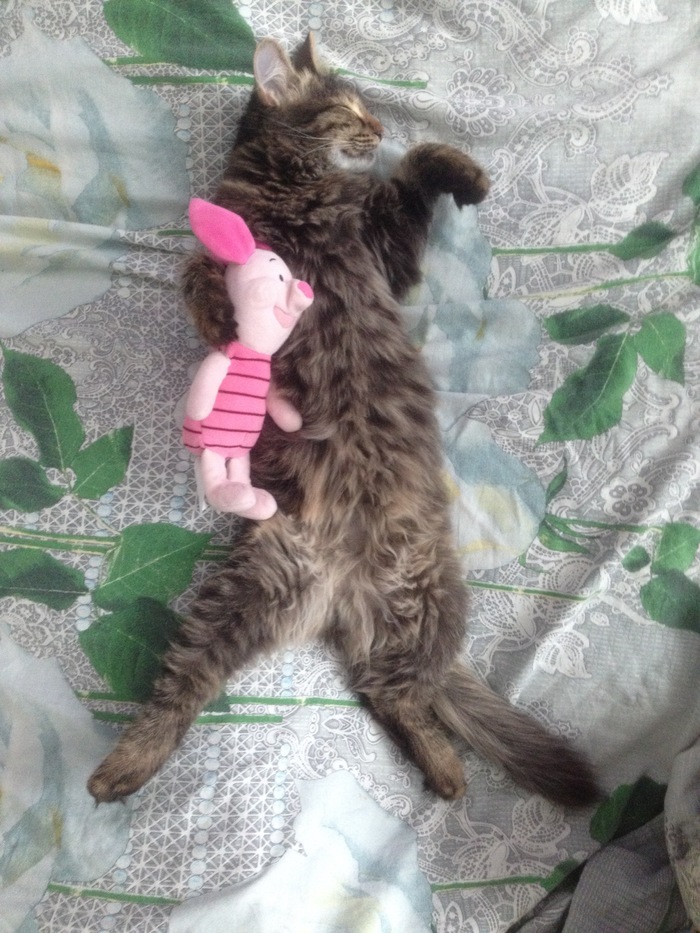 ����� �� ���� "�� ������� ����, �� ����������"