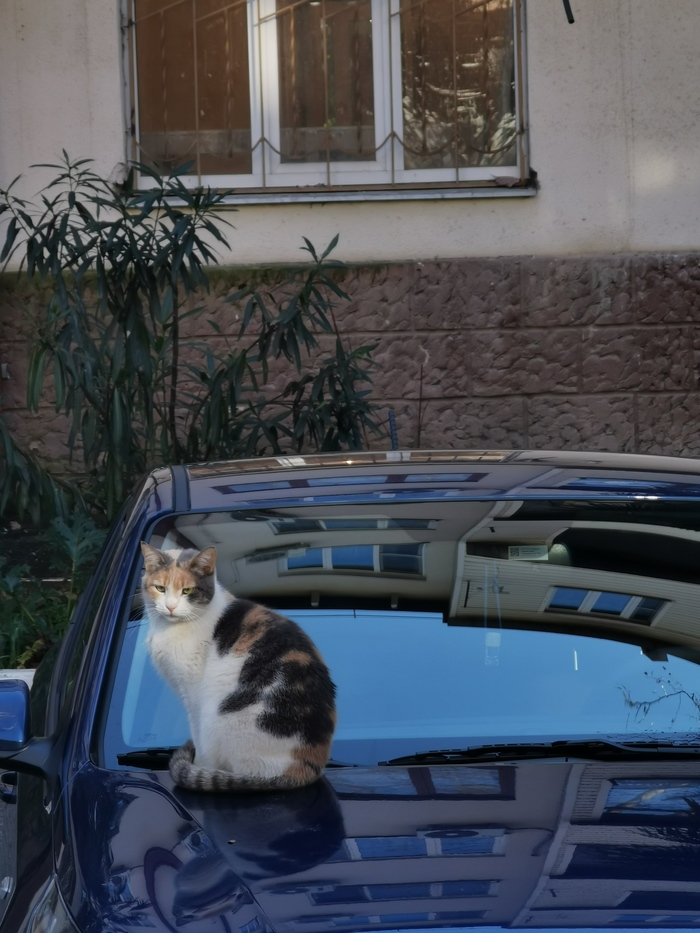 ����� ������ �������