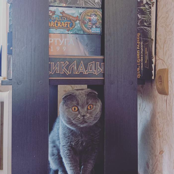 �� � ��� ���