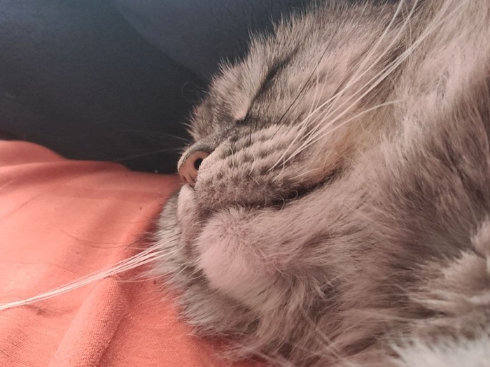 ��� � ��� ���