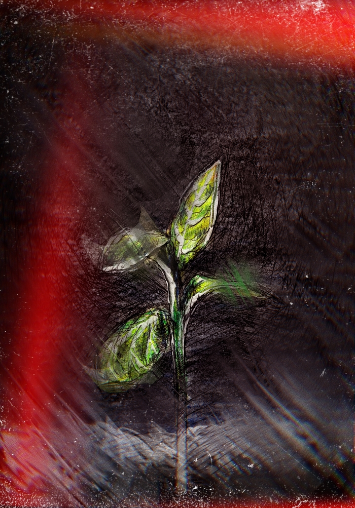 После пожара