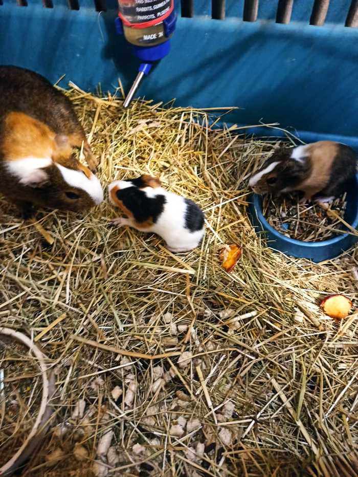 �������...