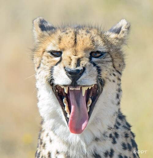 Добрый день!