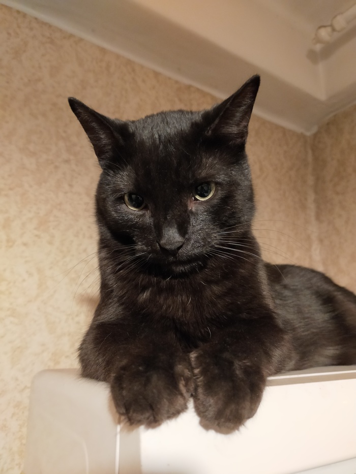 �� ����� �������