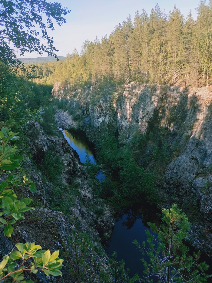 Северное лето Лето, Мобильная фотография, Грибы, Север, Белое море, Лес, Природа России, Длиннопост, Тихая охота