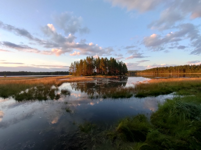 Северное лето Лето, Мобильная фотография, Грибы, Север, Белое море, Лес, Природа России, Длиннопост, Тихая охота