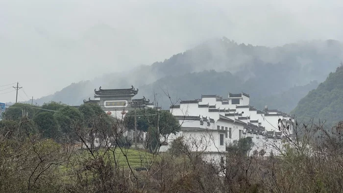 Спецпроект Китайская деревня. Чайный колхоз 2022 Деревня, Китай, Китай наизнанку, Мат, Длиннопост