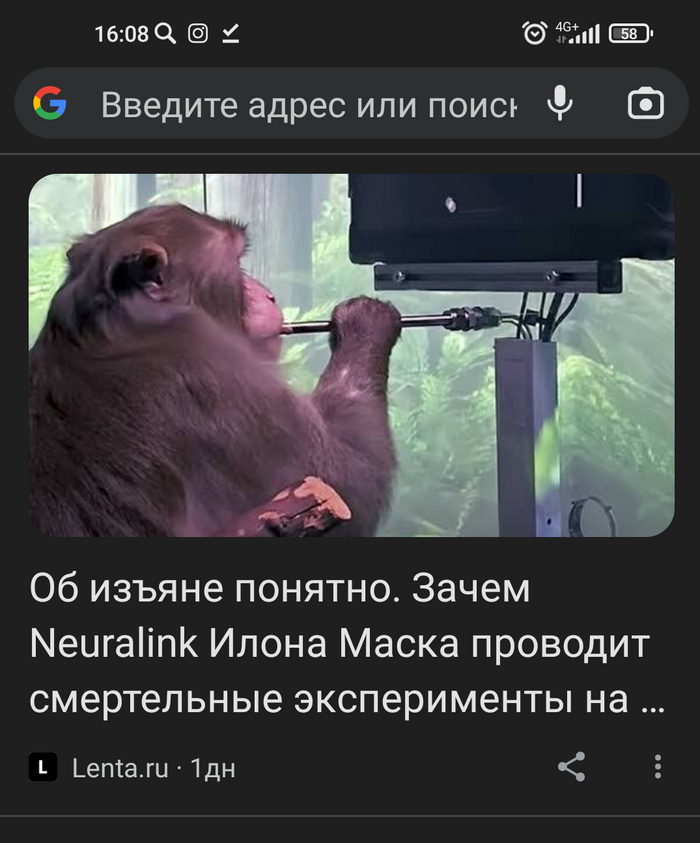      Lenta ru, 