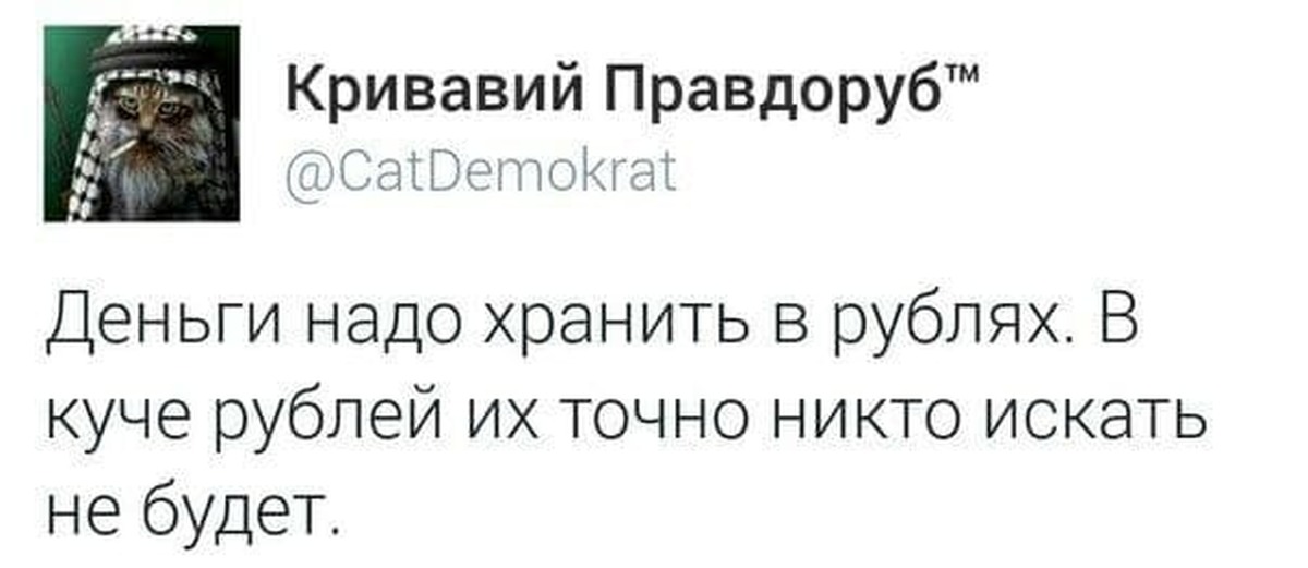 Правдоруб с ледорубом блог. Правдоруб. Кот Правдоруб. Правдоруб прикол. Правдоруб картинки.