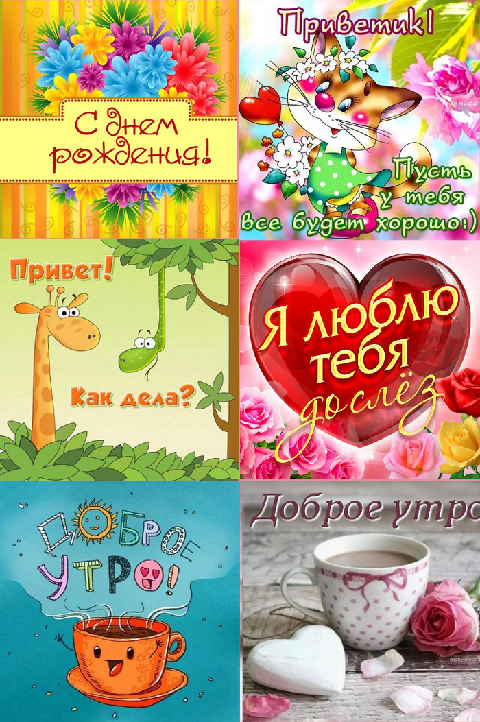     !!!  ,     ) WhatsApp,   , , , , ,   