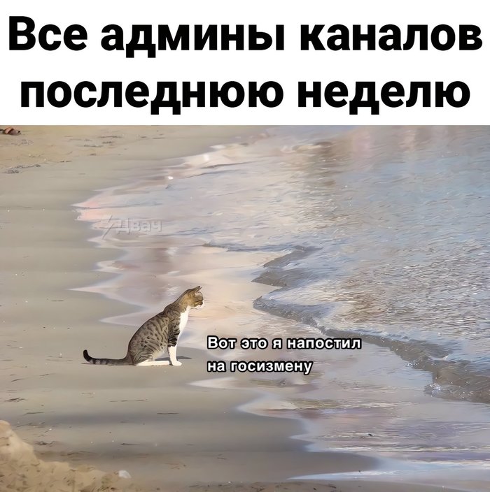    , , 