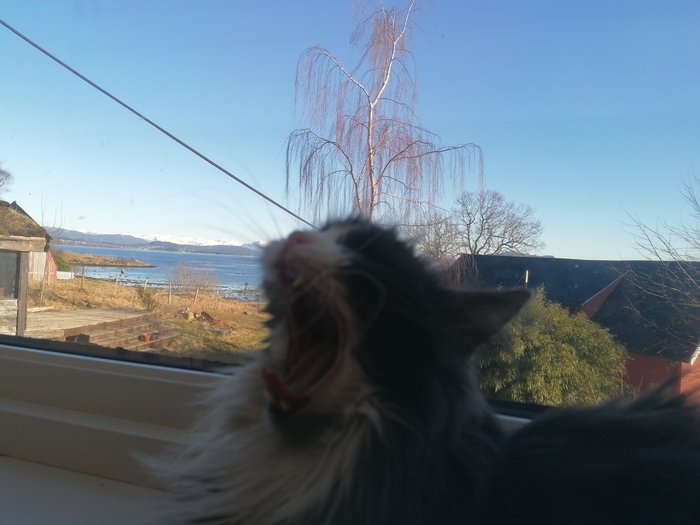 ����� ������? :)