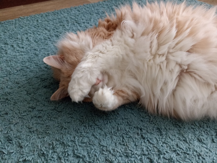 Ваш свет моим глазам усталость придаёт...