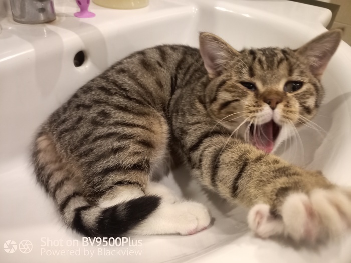 ��� ���������?