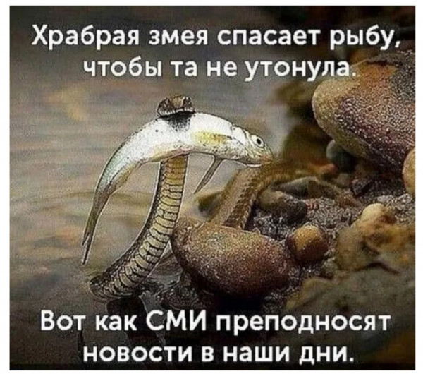 Ƞ  !