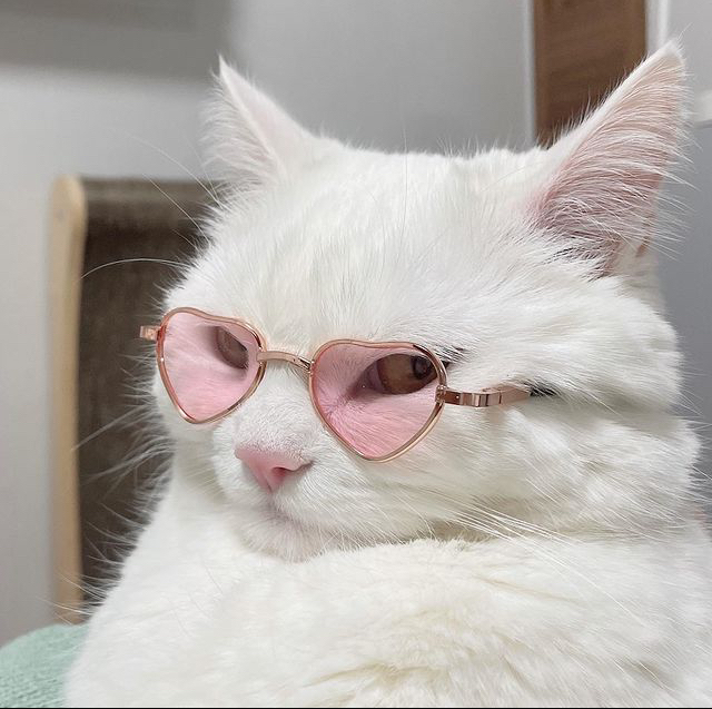 �� ������ ��� �����: ����� �� ������