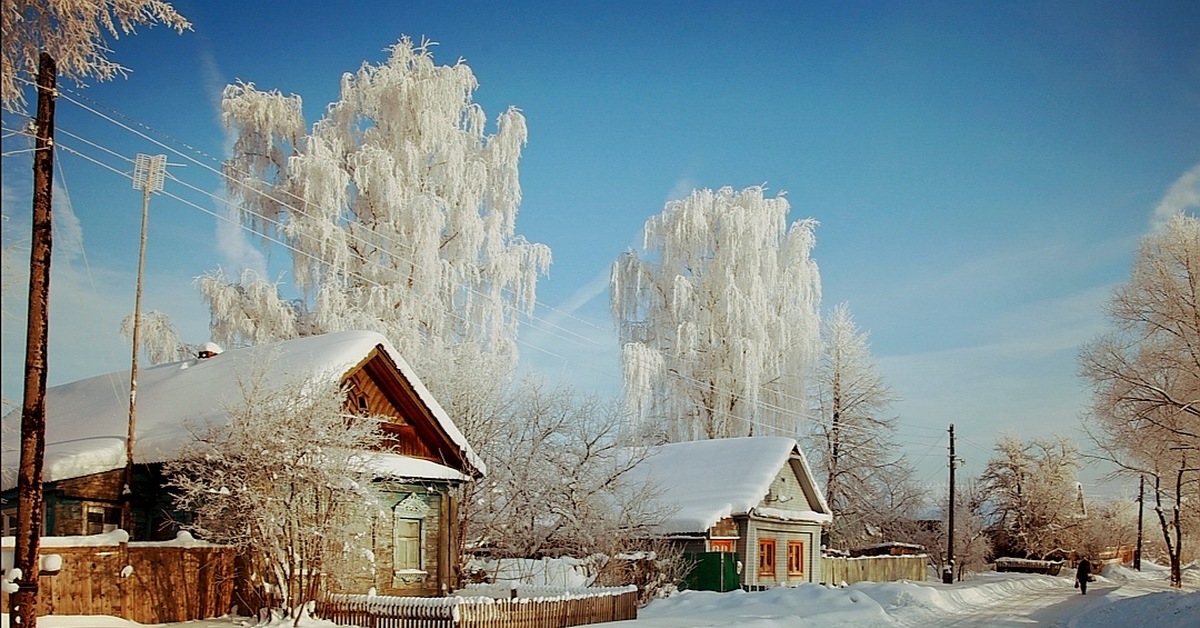 Фото Зима Природа Деревня