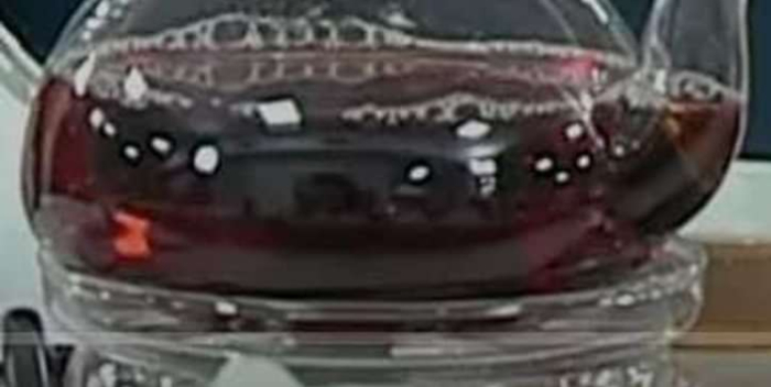 ������ ���������?- � ��� ����