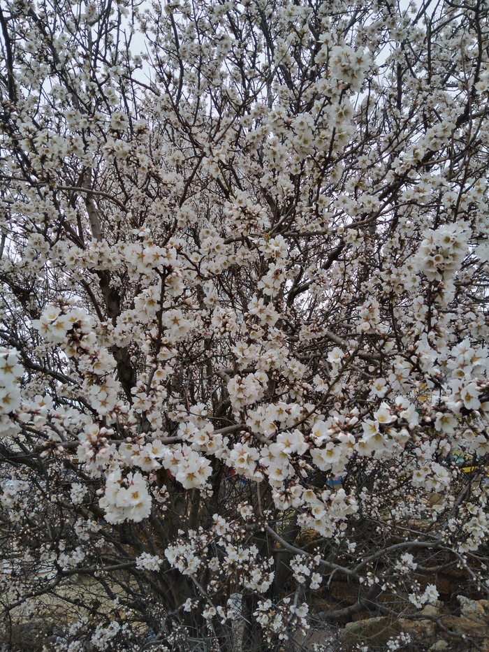 ����� � �����