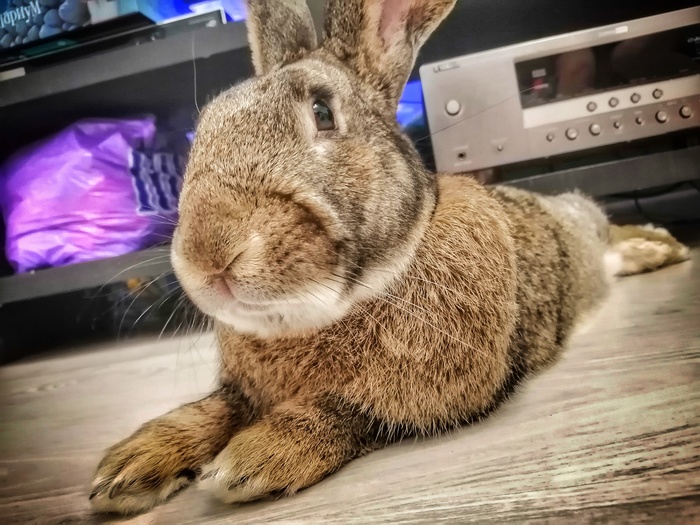 Любитель ямахи-363