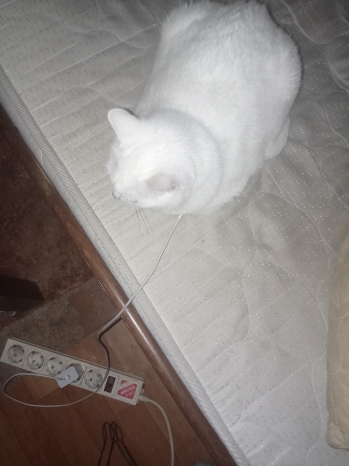 Быстрая зарядка