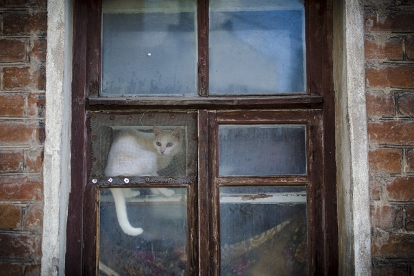 На просторах Воронежа