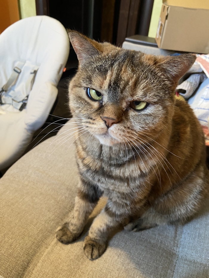 ����� ������