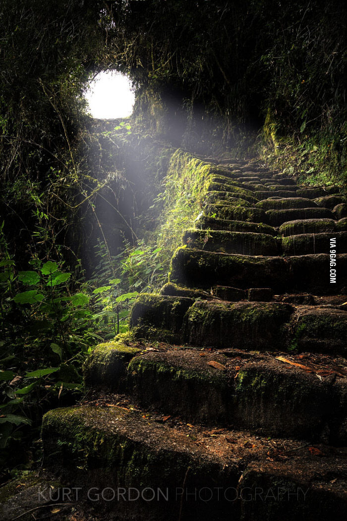 ����������� ��������