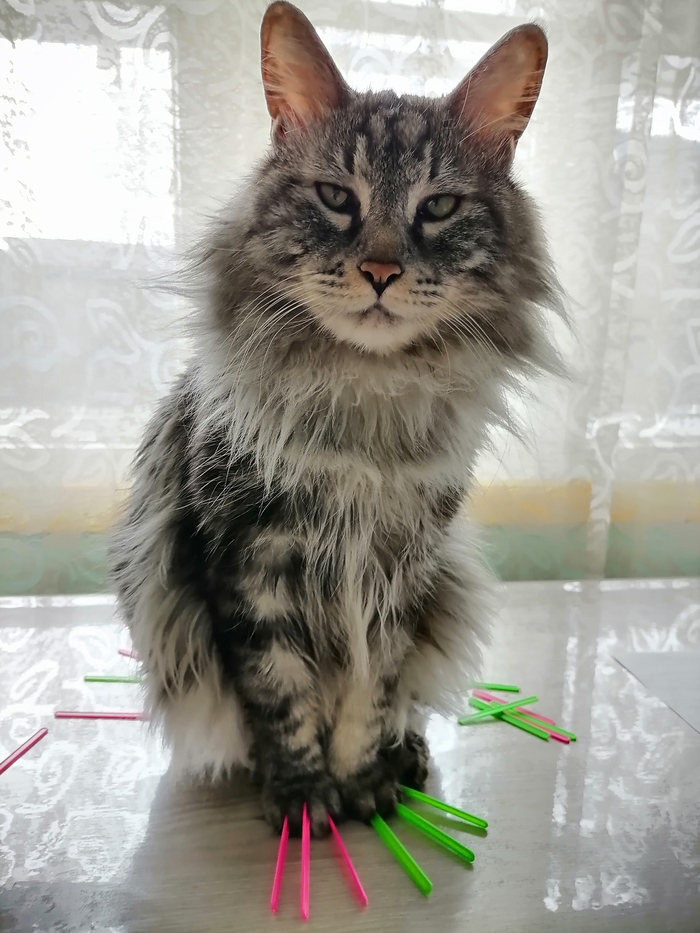 Записываемся на ноготочки