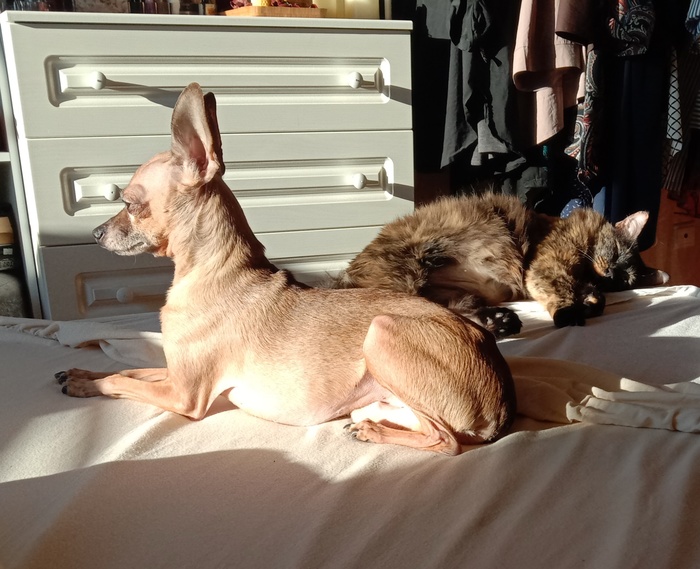 Кажется праздник