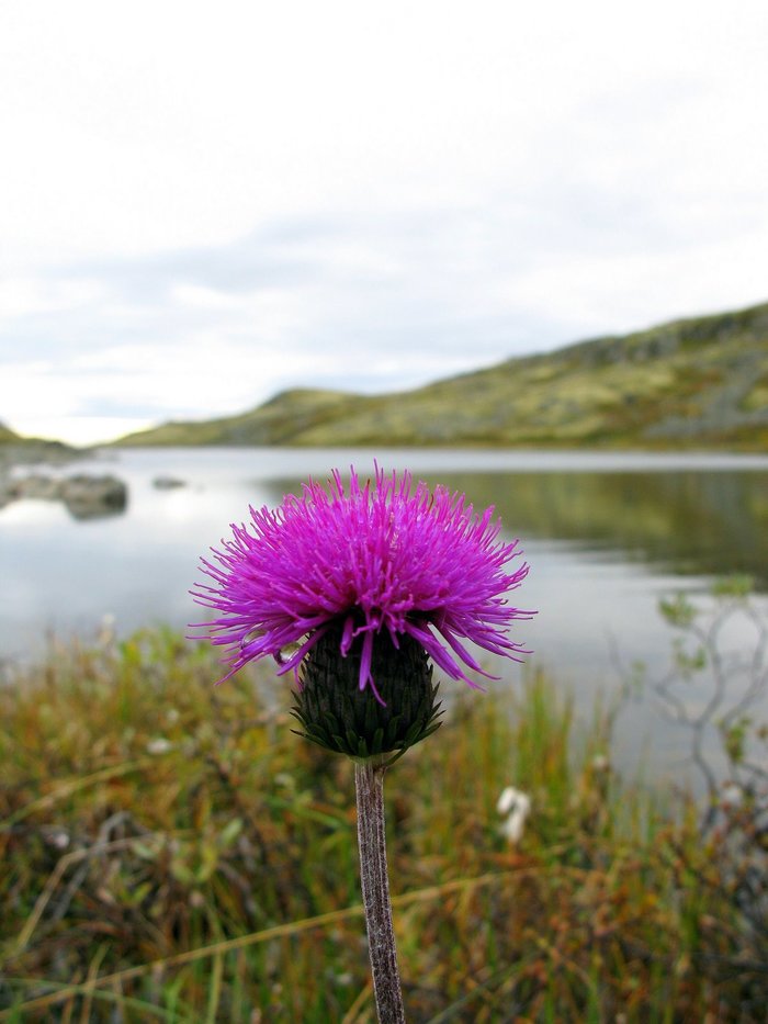 �������� ������