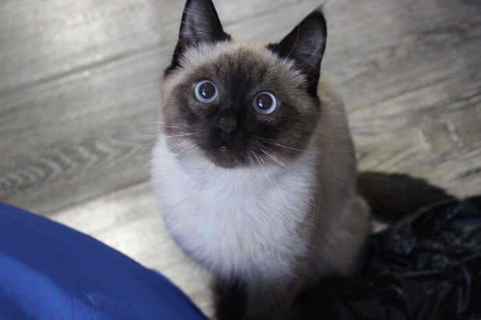 ��� 5 ������ � ���� �������