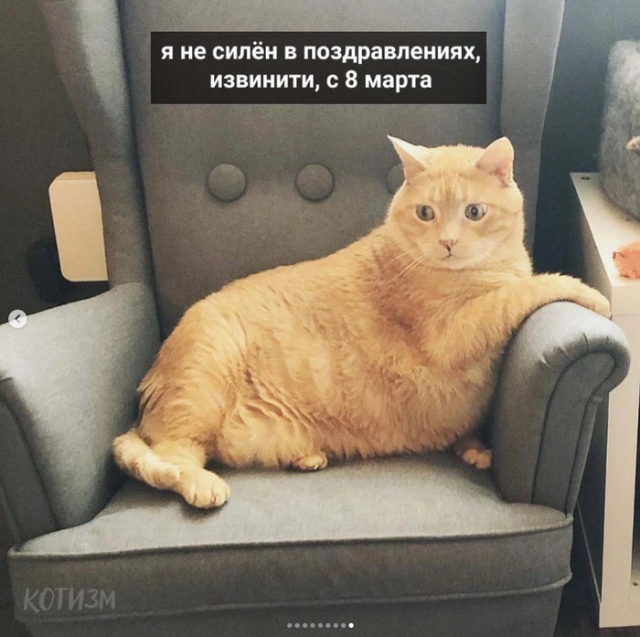 С 8 марта! | Пикабу