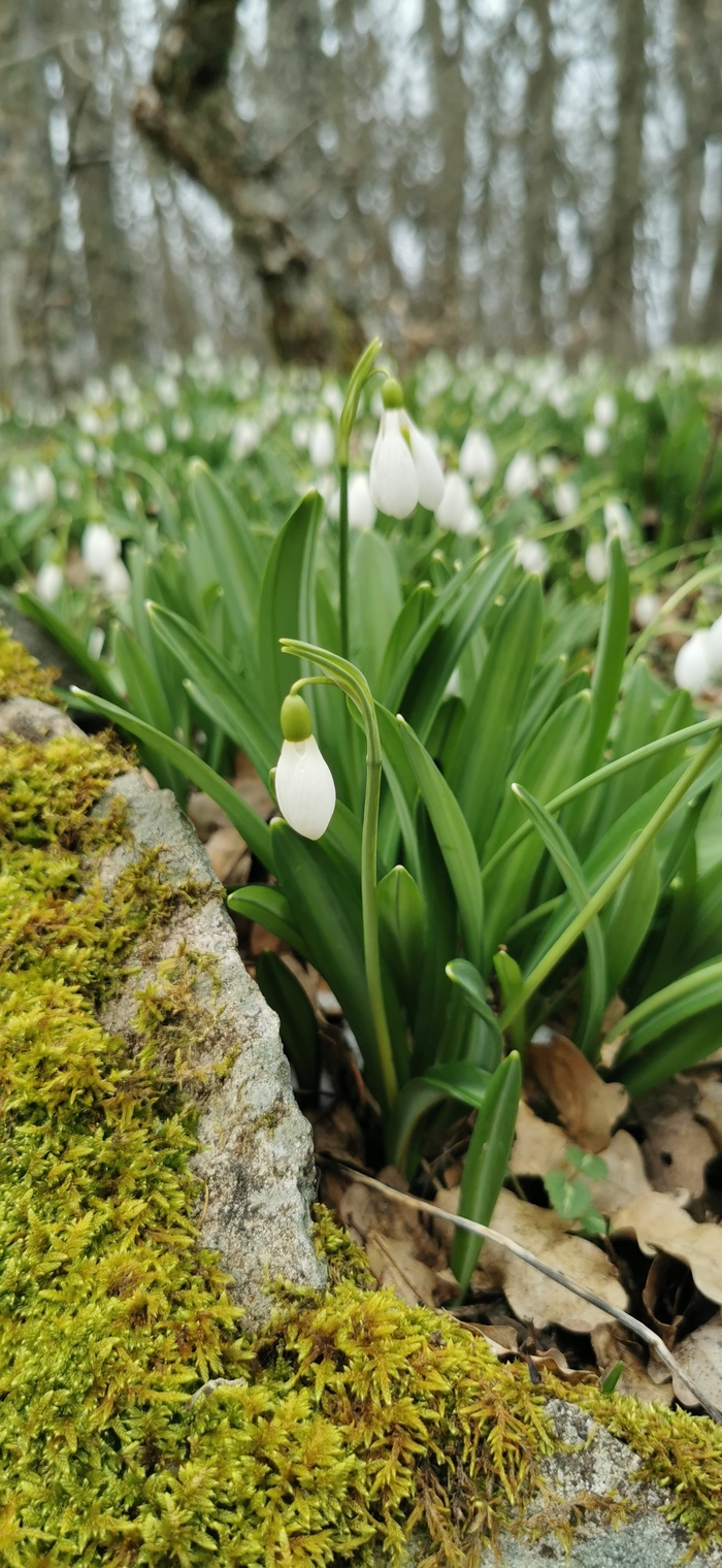 Бабушка, а у тебя есть карта Мир?