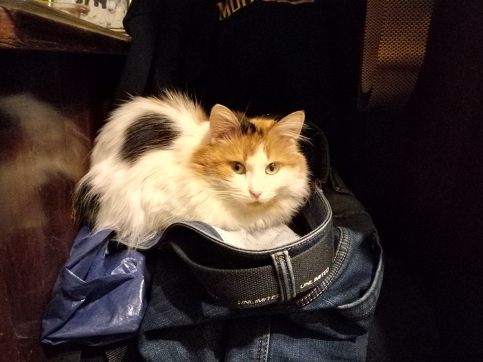 � ��� � ��� ����