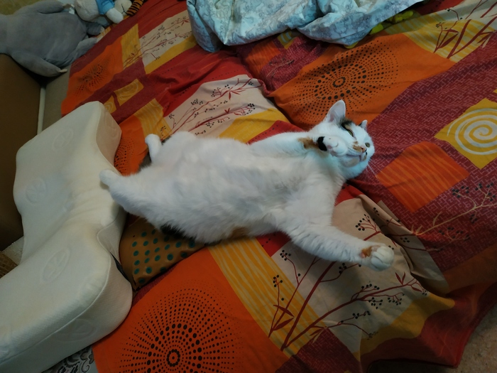 Кто тут развалился?