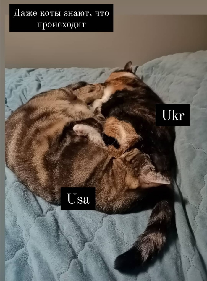 Природу не обманешь