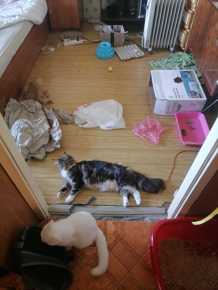 ���� ���