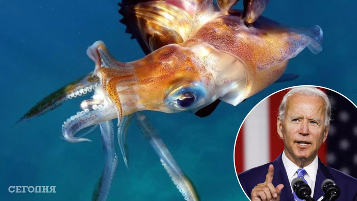 Совпадение...