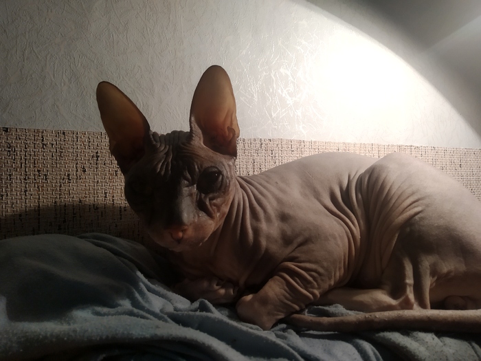 , !  , , 