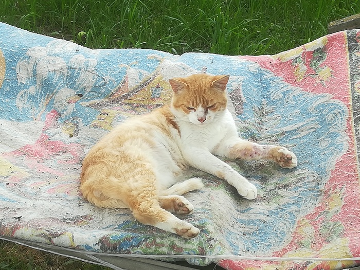 ����� �� ���� ��������� �����