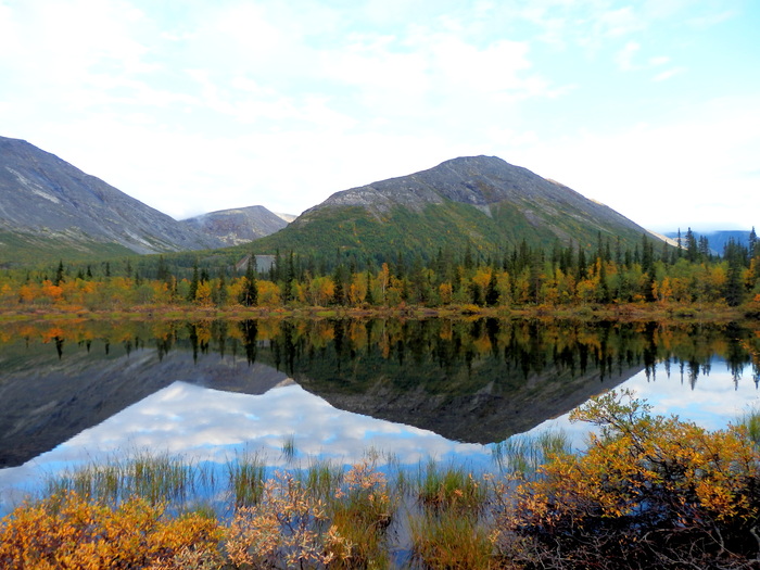 ���������...